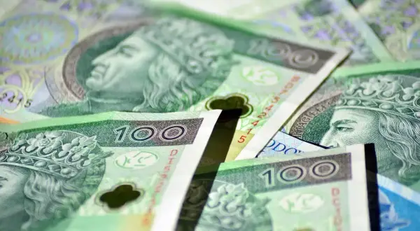 Stos banknotów 100 zł, symbolizujących zasiłek stały. Widać portrety królów i korony.