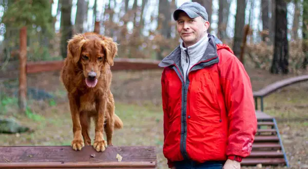 Jak tresować golden retrievera: skuteczne metody na posłusznego psa
