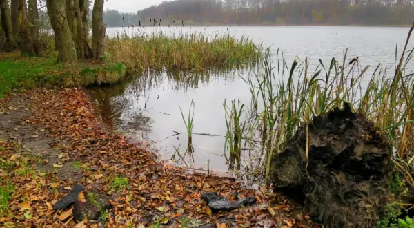 Jezioro Kczewskie: idealne miejsce na wędkowanie i relaks w naturze