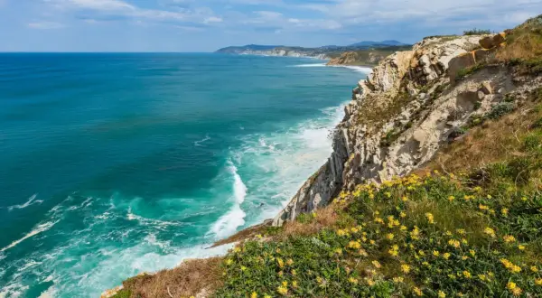 Acantilados con flores amarillas y mar turquesa. Un paisaje espectacular que invita a descubrir qué ver en Getxo.