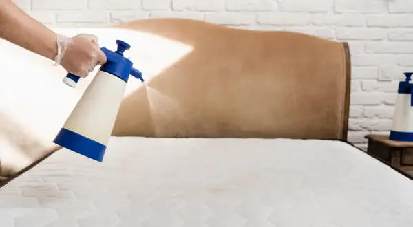 Spraying a mattress to combat memory foam dust mites.