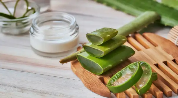 Frische Aloe Vera-Scheiben und eine Creme deuten auf die wohltuende aloe vera gel wirkung für die Haut hin.