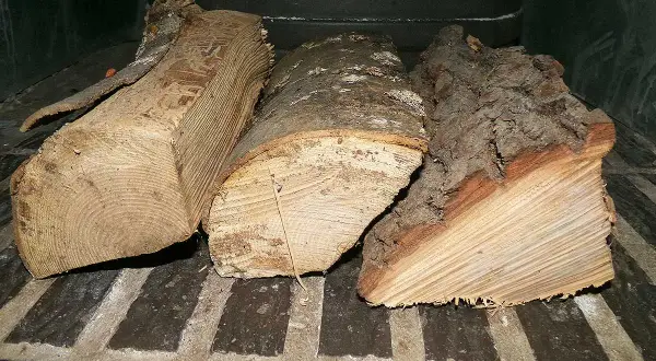 Trois bûches de bois de chauffage, prêtes à être consumées, dégagent l'essence de bois de chauffage.