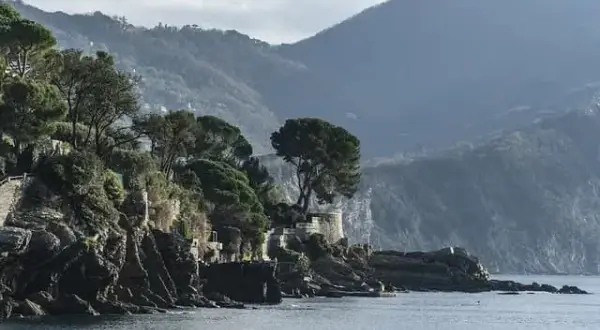 Ile kosztuje naprawa zamka centralnego w samochodzie? Sprawdź ceny!