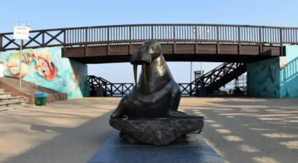 Mielno pomnik morsa przy malowniczej kładce z muralami.