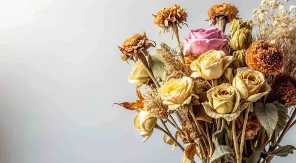 Un ramo de rosas amarillas y una rosa rosa, con flores secas y espigas, muestra cómo secar un ramo de flores para conservarlo.