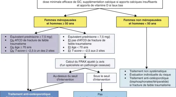 Algorithme de prise en charge de l'ostéoporose sous corticothérapie. Si équivalent prednisone ≥ 7,5 mg/j, un traitement anti-ostéoporotique est envisagé.
