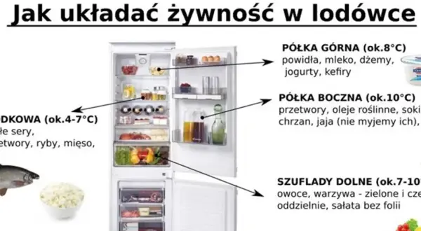 Optymalna temperatura w lodówce: górna półka na nabiał, środkowa na ryby i mięso, dolne szuflady na warzywa.