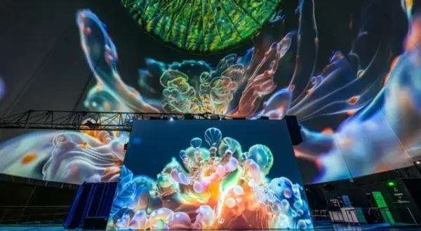 Immersive Projektionen von Quallen und Korallen im Kuppelsaal, Wuppertal. Ein visueller Skywalk durch eine Unterwasserwelt.