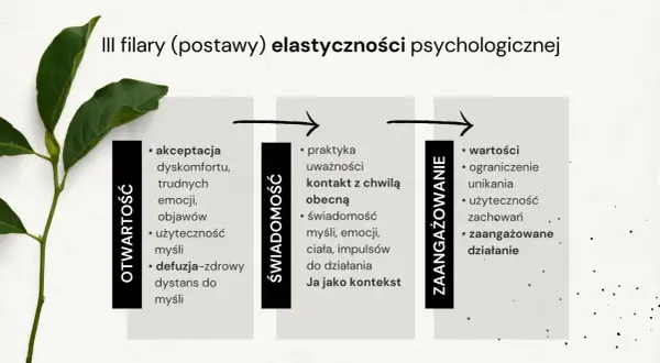 Trzy filary elastyczności psychologicznej: otwartość, świadomość i zaangażowanie. Kluczowe dla terapii ACT.