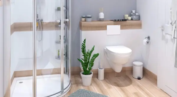 Moderne badezimmer ideen: Duschkabine, Toilette, Pflanze und Holzboden schaffen eine einladende Atmosphäre.