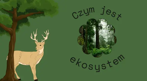 Konkurencja w biologii – zrozumienie jej roli i wpływu na ekosystemy