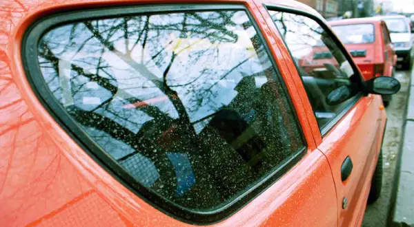 Widok na brudną szybę auta z odbiciem drzew. Dowiedz się, jak usunąć żywicę z szyby auta, by znów była czysta.