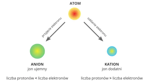 Schemat ilustruje proces jonizacji: atom staje się anionem (przyjęcie elektronu) lub kationem (oddanie elektronu).