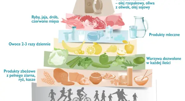 Piramide żywienia: warzywa, owoce, produkty zbożowe, nabiał, ryby, drób, chude mięso, tłuszcze roślinne. Przepisy na zdrową dietę po zawale i stentach.