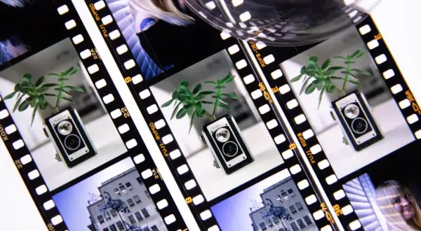 Film strips showcase a vintage camera with a plant, a building, and a woman's face, hinting at the classic ektachrome vs velvia debate.