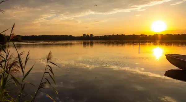 Zachód słońca nad spokojną wodą w Dolinie Baryczy. W oddali las, na pierwszym planie łódź i trzciny.