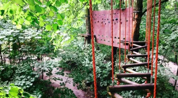 Park Linowy Barbarka: trasy, ceny, dojazd. Planuj rodzinny wypad!