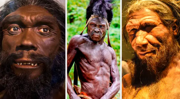 Triptyk som visar olika tolkningar av neandertalare utseende. En mörkare modell med skägg, en mager man med dreadlocks och en ljusare modell med kraftigt ansikte och skägg.