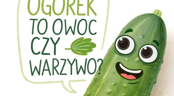 Uśmiechnięty ogórek zastanawia się: "Czy ogórek to owoc czy warzywo?". Zabawna grafika edukacyjna.