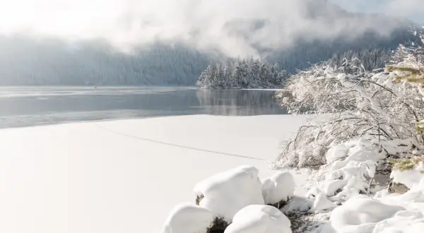 Eibsee Winter: Eisbedeckter See, schneebedeckte Bäume und Felsen unter nebligen Bergen. Ein friedlicher Anblick.