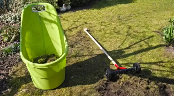 Grön tunna med mossa bredvid en vertikalskärare redo att ta bort mossa från gräsmattan.