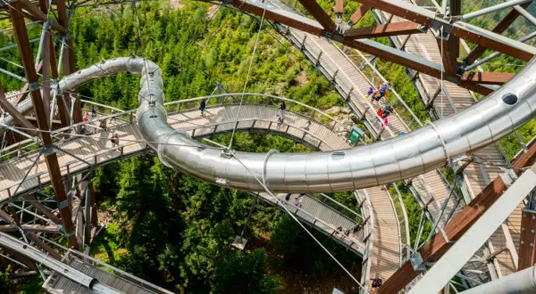 Drewniana ścieżka w koronach drzew z metalową zjeżdżalnią, widok z góry na Sky Walk w Czechach.