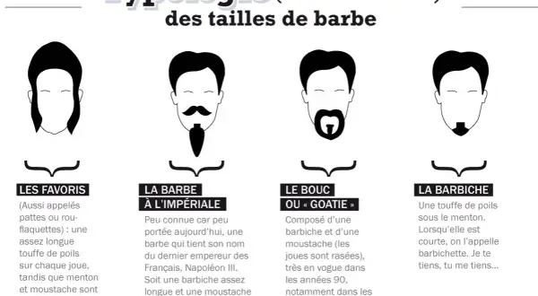 Typologie des tailles de barbe : le favori, la barbe à l'impériale, le bouc ou "goatie", et la barbiche. Chaque nom de barbe est illustré.
