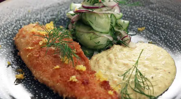 Panerad fisk med en krämig remouladsås curry, gurksallad och dill.