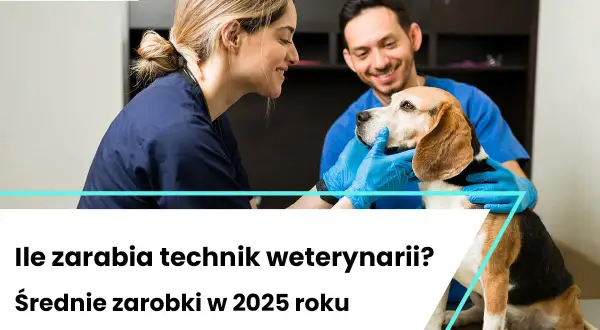 Weterynarz z gabinetem: Realne zarobki netto i koszty w Polsce