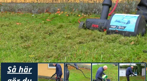 Man använder en vertikalskärare för att ta bort mossa och död vegetation från gräsmattan. Bilden visar steg för steg hur man gör.