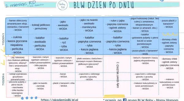 Tabela z przepisami dla niemowląt: propozycje posiłków na 5. i 6. tydzień BLW, np. kasza gryczana, kalafior, domowy chleb.