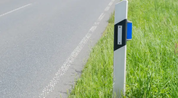 Straßenrandpfosten mit blauen Reflektoren, der die Fahrbahn und das üppige Gras daneben markiert.