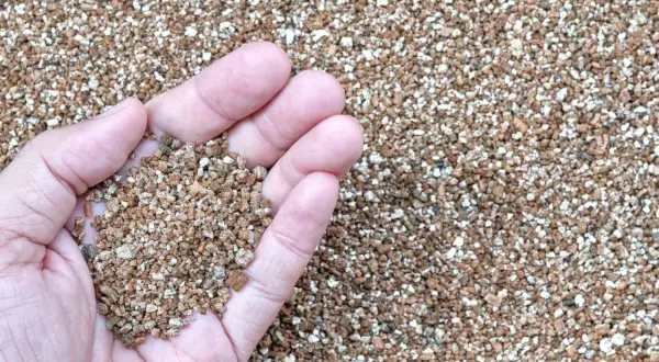 Main d'une personne tenant une poignée de vermiculite, un matériau léger et poreux. Sa composition est idéale pour l'horticulture.