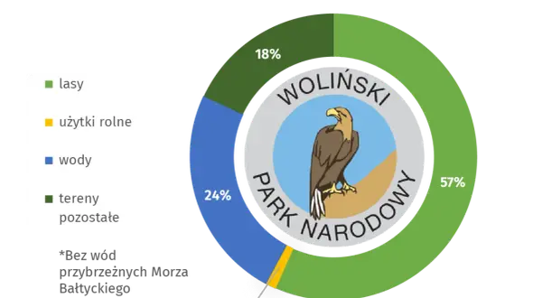Dlaczego bielik jest symbolem Wolińskiego Parku Narodowego i jego znaczenie