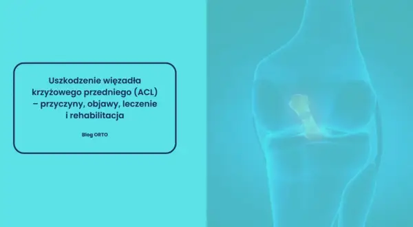 Anatomia kolana z widocznym uszkodzonym więzadłem krzyżowym przednim (ACL). Tekst informuje o przyczynach, objawach, leczeniu i rehabilitacji.