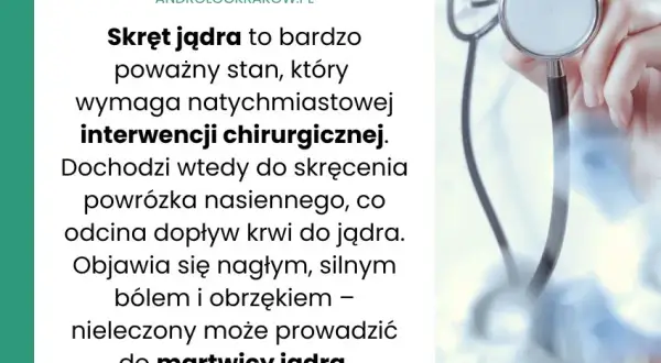 Urolog czy androlog? Kiedy iść z problemami jąder?