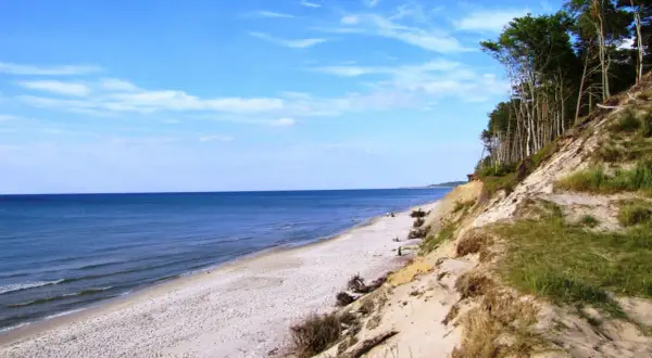Piękna plaża i las na klifie, idealne orzechowo atrakcje dla miłośników przyrody.