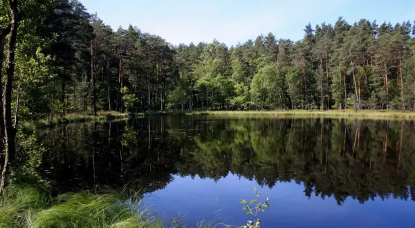 Spokojne jezioro z czarną wodą odbija gęsty las.