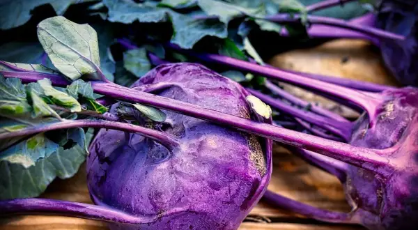 Gros plan sur des choux-raves violets aux feuilles vertes, posés sur du bois. Un légume coloré prêt à être cuisiné.
