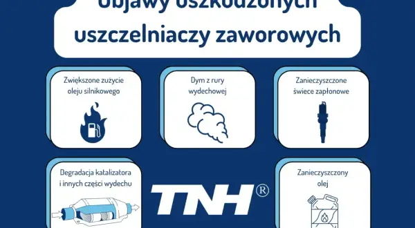 Objawy uszkodzonych uszczelniaczy zaworowych: zwiększone zużycie oleju, dym z wydechu, zanieczyszczone świece. Za duży luz zaworowy objawy to także degradacja katalizatora.