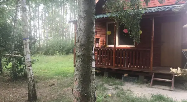 Drewniany domek na łowisku Admar w Dąbiu Lubuskim, otoczony zielenią i drzewami.