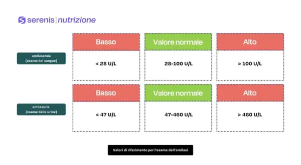 Valori di riferimento per amilasemia e amilasuria. Un valore basso di amilasi pancreatica nel sangue (< 28 U/L) può indicare problemi.