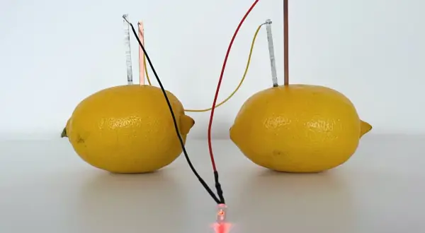 Dwa cytryny z elektrodami i przewodami, tworzące prąd z ziemniaka, zasila świecącą czerwoną diodę LED.