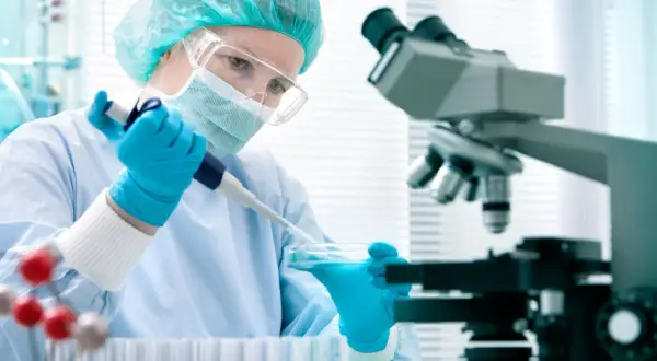 Badacz w rękawiczkach pobiera pipetą płyn z szalki Petriego, obok mikroskop i probówki. Badania naukowe, ige całkowite.
