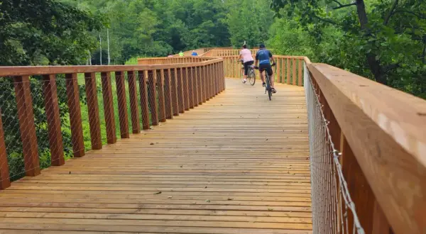 Ludzie na rowerach przemierzają drewnianą kładkę w lesie. To idealne miejsce na przejażdżkę velo przemsza.
