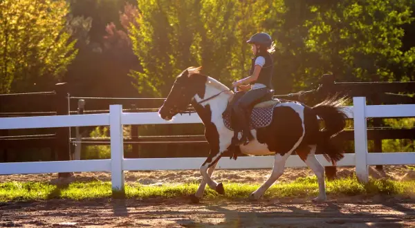 Dziewczynka w kasku galopuje na łaciatym kucyku na terenie pony clubu Radzymin.