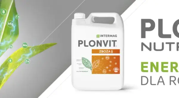 Kiedy stosować plonvit zboża? Sprawdź najlepsze terminy aplikacji