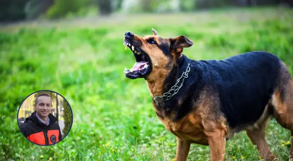 Agresywny pies z łańcuchem na szyi, groźnie warczy. W rogu zdjęcie ratownika medycznego, przypominające o tym, że nawet lekkie ugryzienie przez psa szczepionego wymaga uwagi.