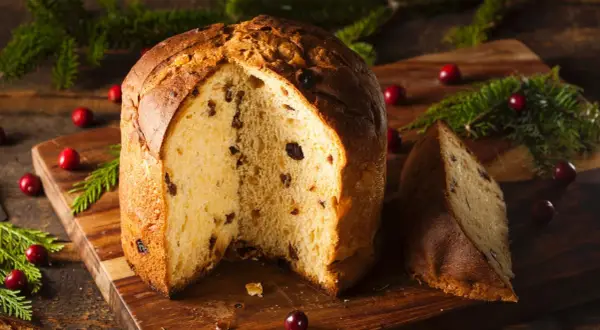 Ein köstlicher Panettone, perfekt für ein sizilianisches Panettone Rezept, mit Rosinen und Nüssen, dekoriert mit Cranberries und Tannenzweigen.